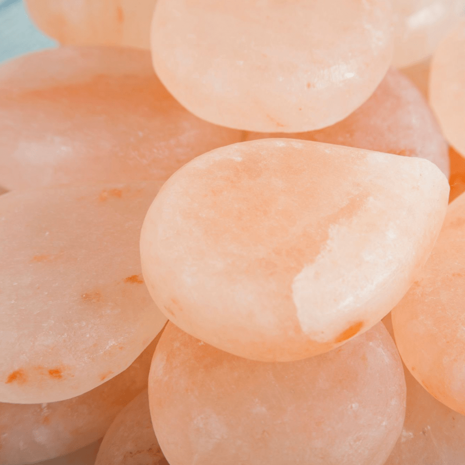 Celebrating Earth Day