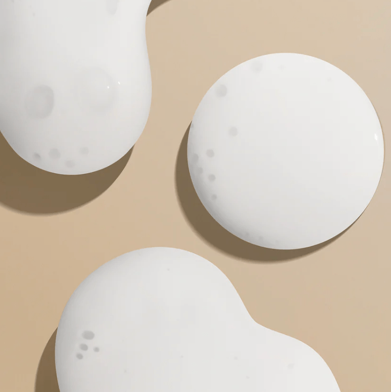 Meet the Twilight Family